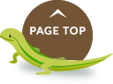 Page Top